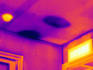 IR Image