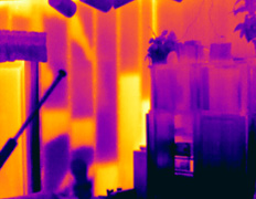 IR Image