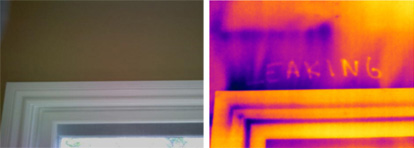 IR Image