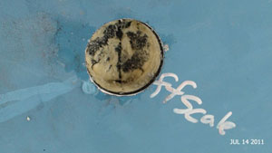 Core sample
