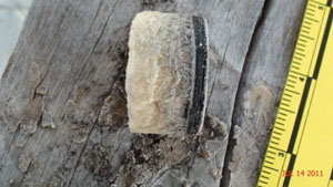 Side view of core