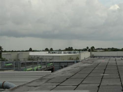 Overcast Sky