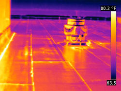 Infrared Image