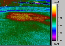 Infrared Image