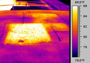 Infrared Image
