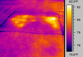 Infrared Image