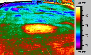 Infrared Image