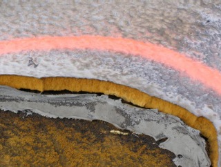 Foam Insulation