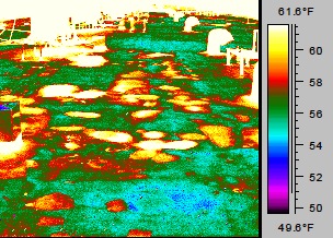 Infrared Image