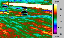 Infrared Image