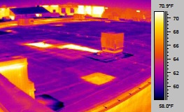 Infrared Image