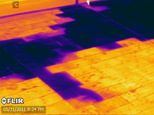 Thermal Image