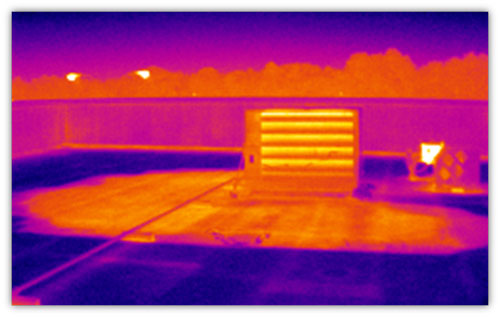Thermal Image