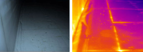 Thermal Image