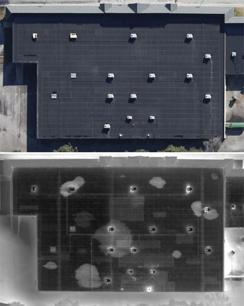 Thermal Image
