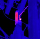 Infrared Expert Witness